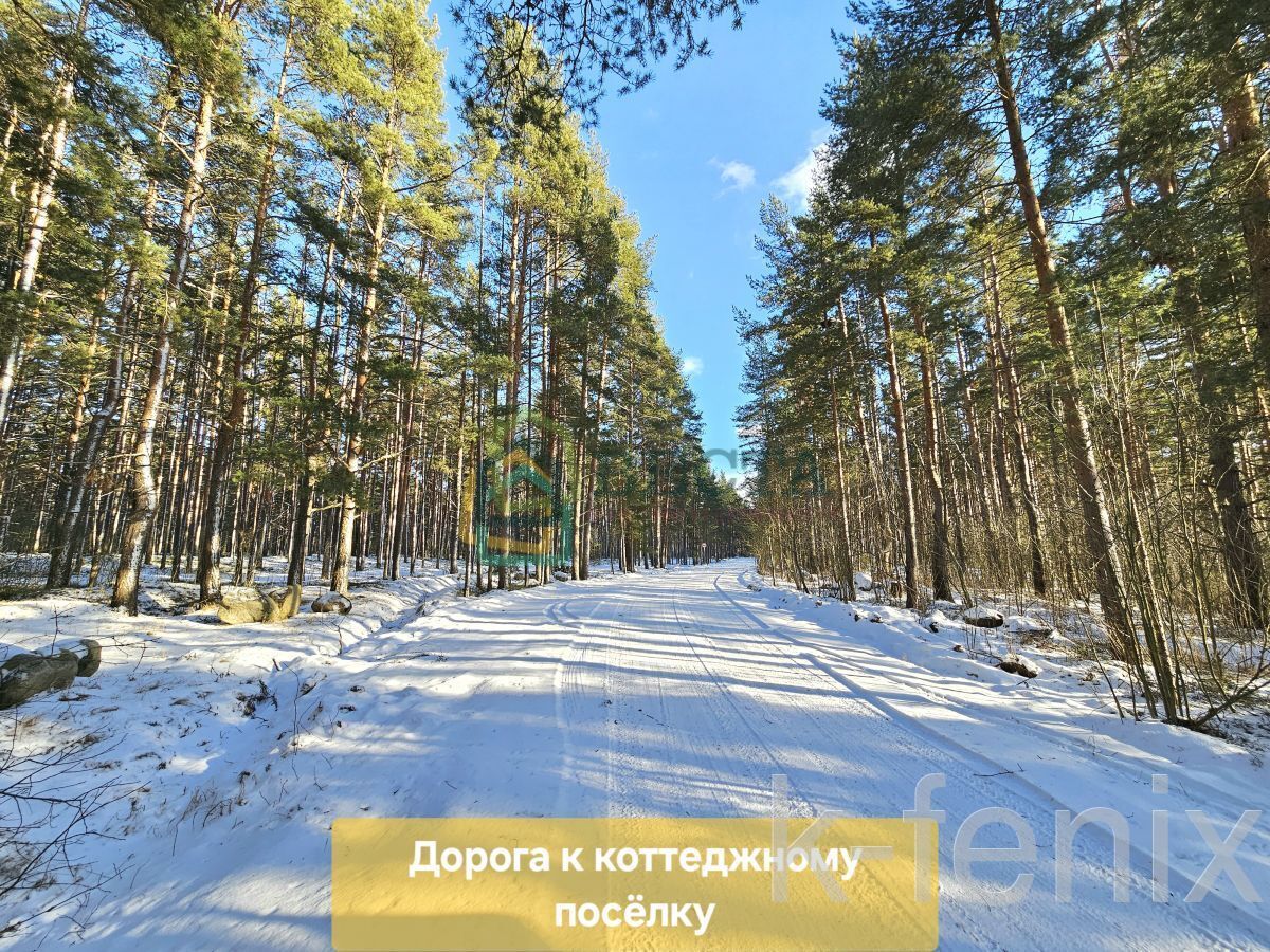 дом 231 метров, участок 17 сот